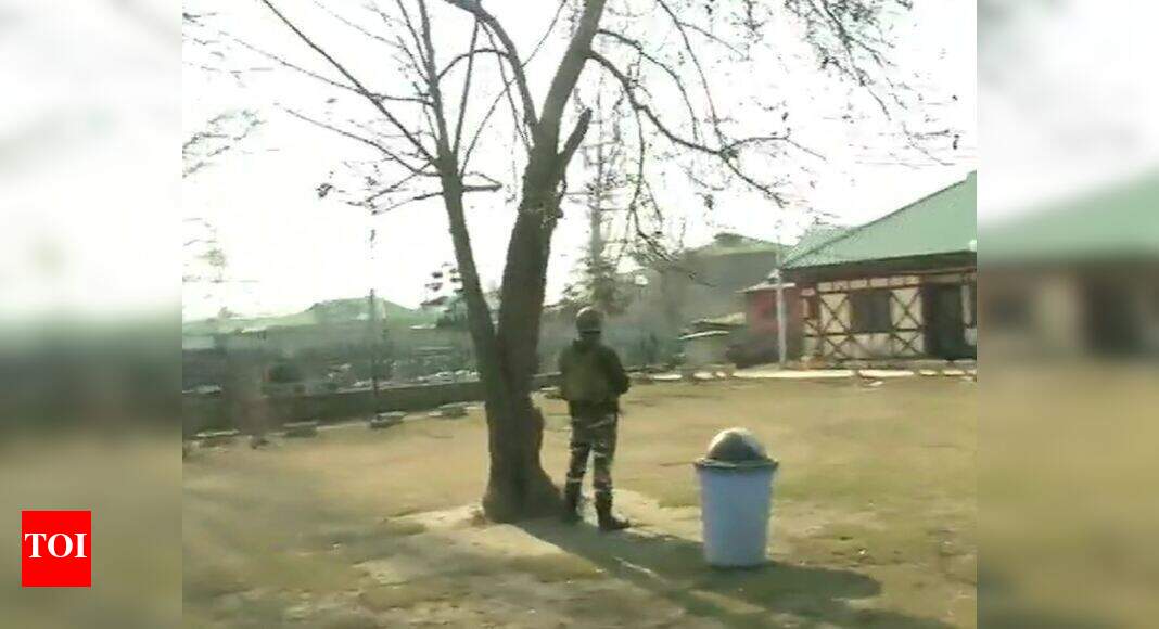 J&K: CRPF jawan, 4 others hurt in grenade attack