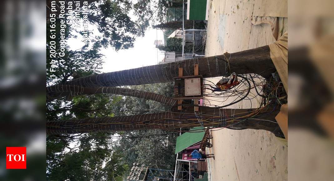 Illegal electrical wiring on trees, cable wires - Times of India