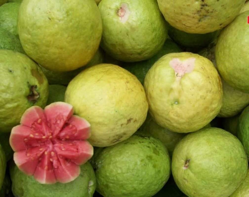 
Do you know these benefits of guava?
