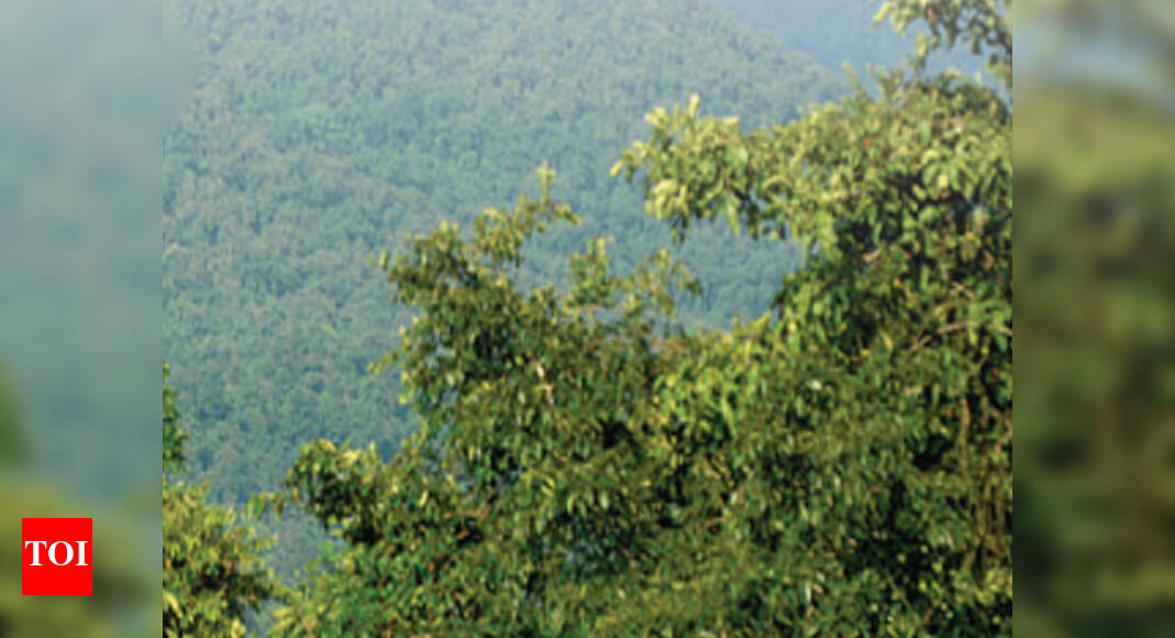 Over 90% documentation of Goa’s biodiversity complete | Goa News ...