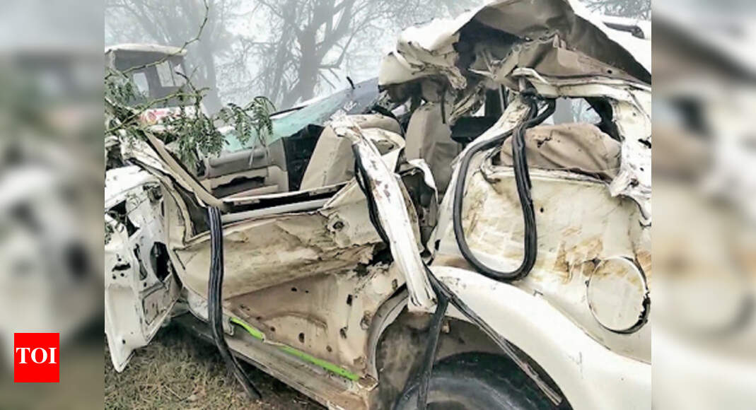 Haryana: Six killed as speeding SUV rams into tree | Gurgaon News ...
