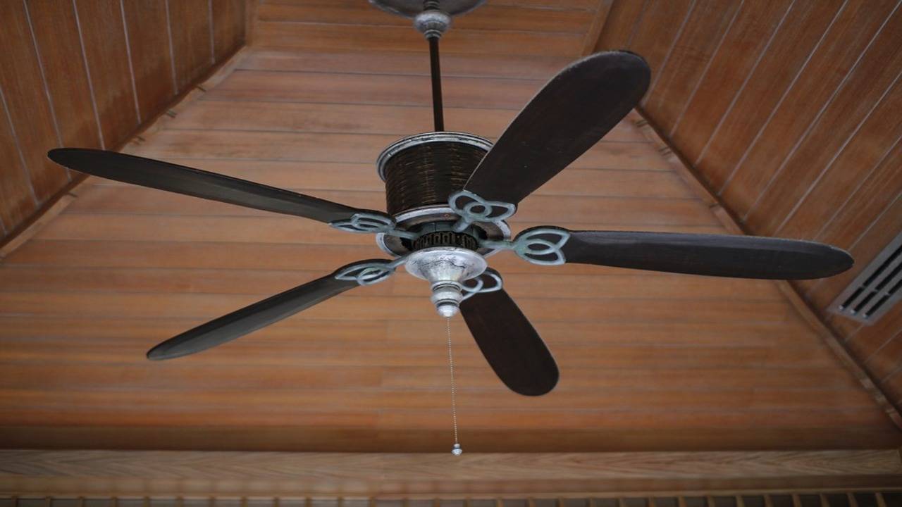 The 5 Best Smart Ceiling Fans for Your Home in 2024