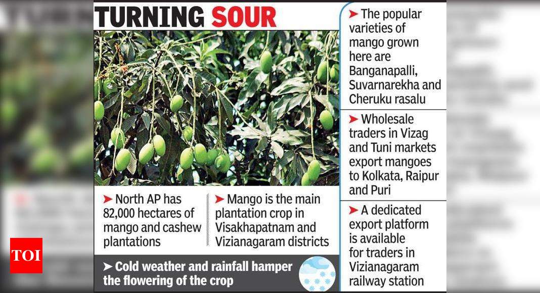 Mango traders predict low crop yield, high prices this season