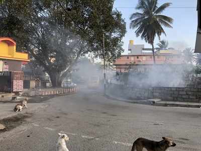 Garbage burning,Anjaneya temple Kodichikanahali