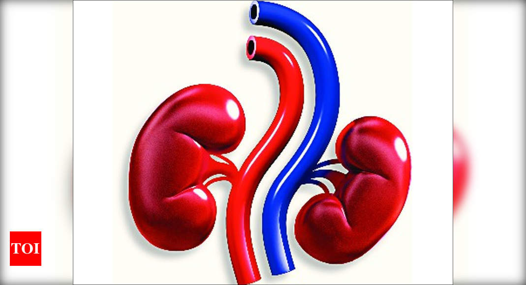 in-odisha-s-first-cadaveric-kidney-transplant-two-get-organs-from