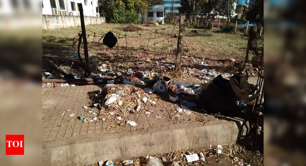 Dumping garbage on the sides of the road continues - Times of India