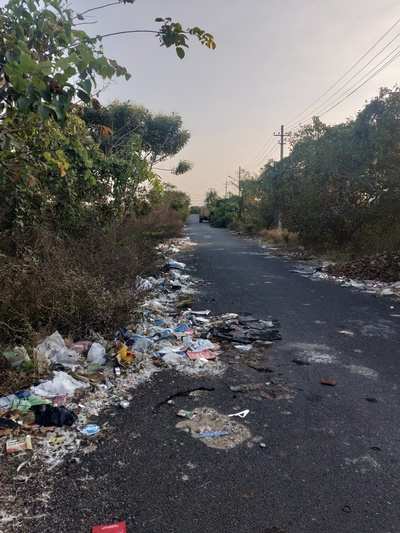 Plants (weeds) and garbage on either sides of the road
