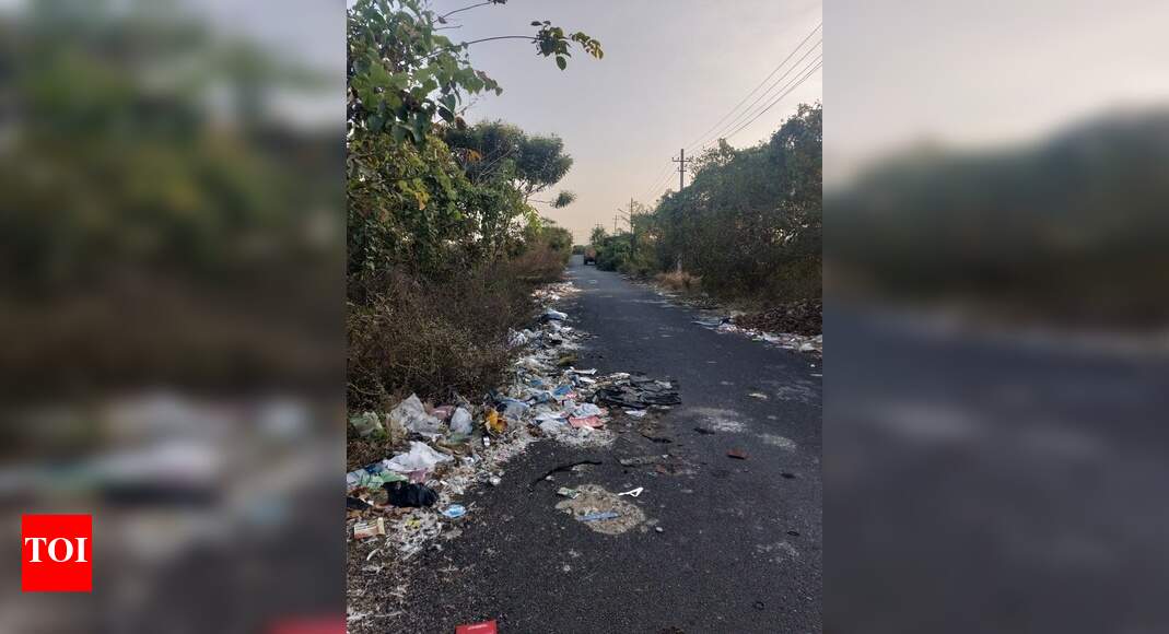 Plants (weeds) and garbage on either sides of the road - Times of India