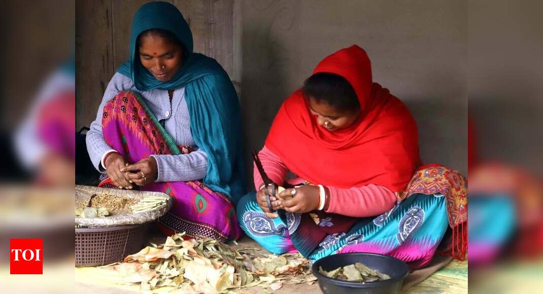 What lies in store for Bengali migrants in Pilibhit? India News