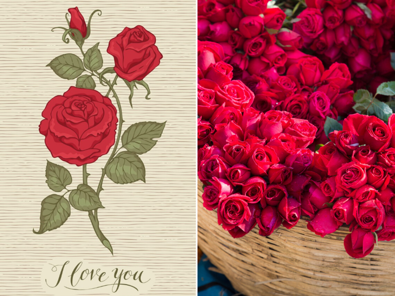 Happy Rose Day 2020: Wishes, Messages, Quotes, Images, Facebook ...