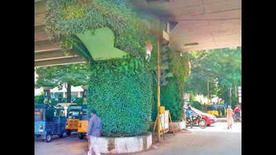 Chennai: Vertical gardens under bridges to use treated sewage