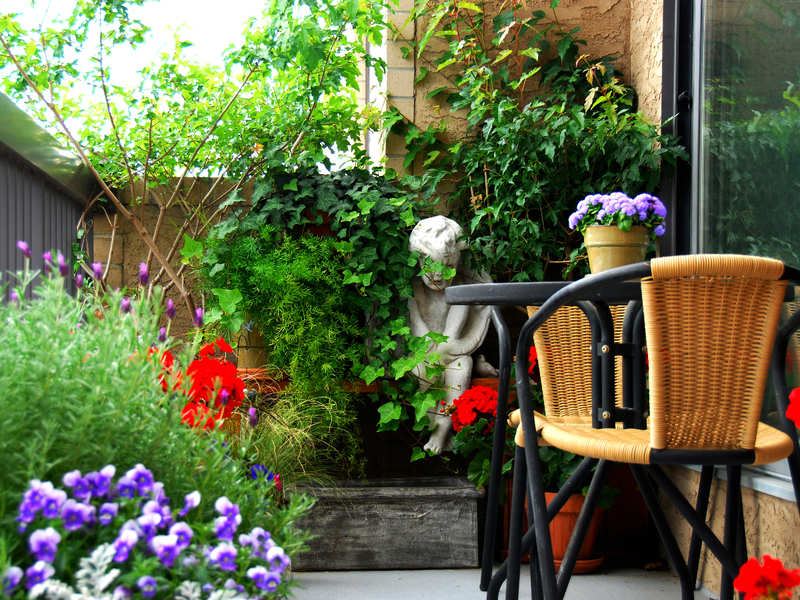 Gardening options in small spaces - Times of India