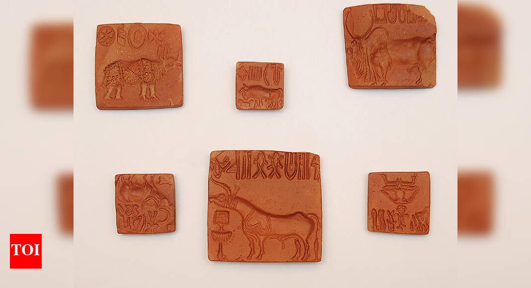 Why we still can’t crack the Indus script | India News - The Times of India
