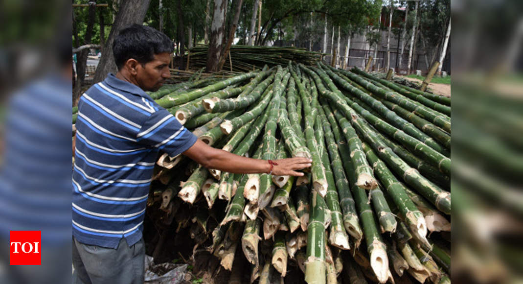 Slow production, increasing prices worry bamboo sector | Guwahati News ...