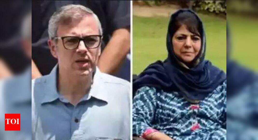 Omar detained for influence, Mufti for pro-separatist stand: PSA docs