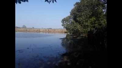 Dudhwa’s Jhadi Tal to be developed as Sarus habitat