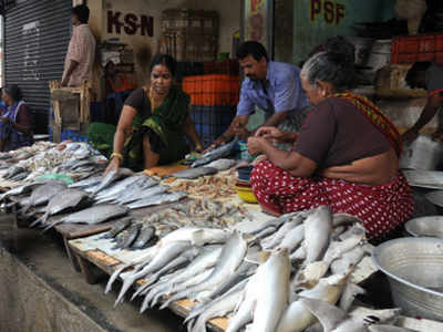 Chennai: NGT seeks report on illegal fish market in Chintadripet ...