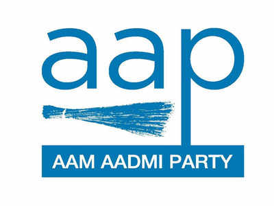 Delhi assembly elections 2020: AAP volunteers keeping guard