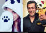 Teddy Day:Btown stars' cute pics with teddies