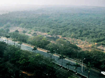 Navi Mumbai: Greens see red over wetland exclusion