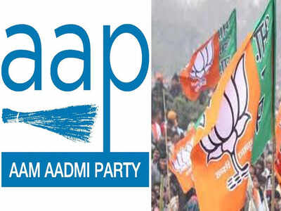 Hari Nagar Town Poll Result 2020 Aap S Raj Kumari Dhillon Defeats