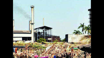 Uttar Pradesh tops country in sugar production, beats Maharashtra