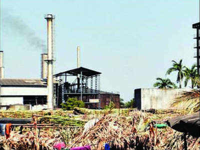 Uttar Pradesh tops country in sugar production, beats Maharashtra ...