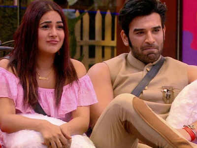 Bigg Boss 13 contestants Shehnaz Gill and Paras Chhabra to have their Swayamvar on the same channel