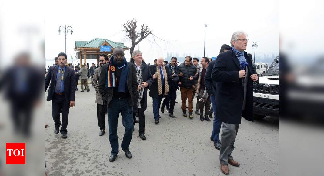 Second batch of foreign envoys visits J&K