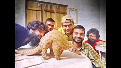 In a first, MP shows way, radio-tags two pangolins