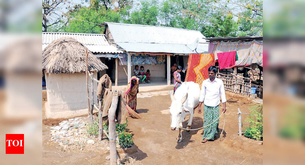 Bangladeshi Hindu refugees in Karnataka move closer to gaining land ...