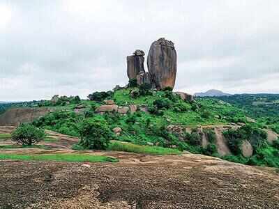 Birdsong, a temple, and a love story | Bengaluru News - Times of India