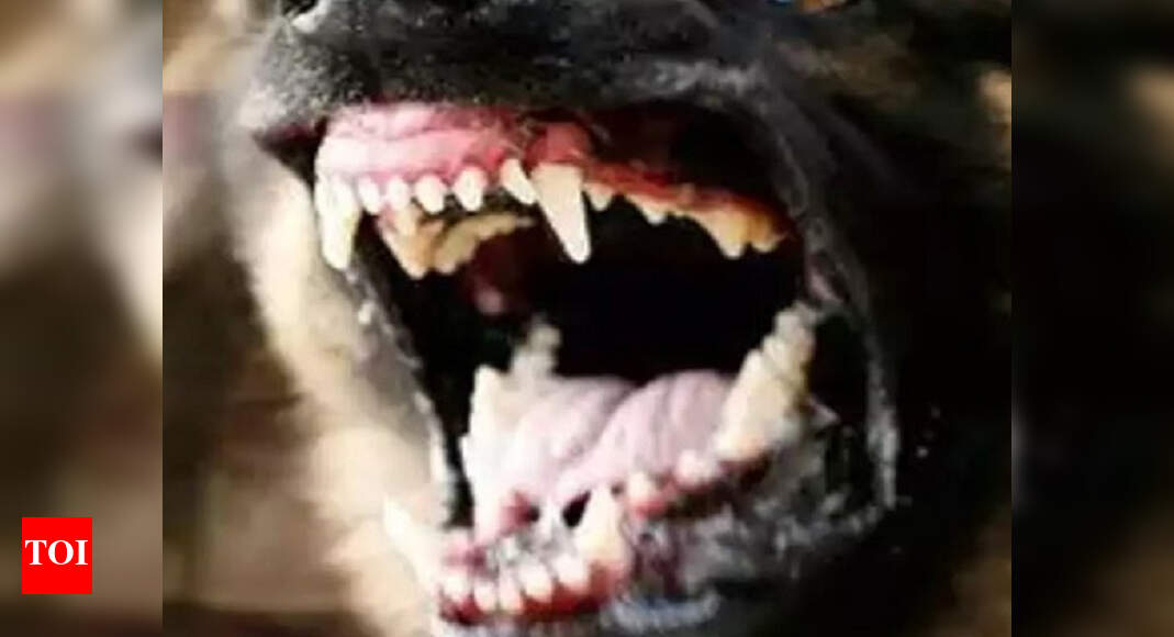 Bengaluru Bitten by stray dog 4 months ago, woman dies of rabies