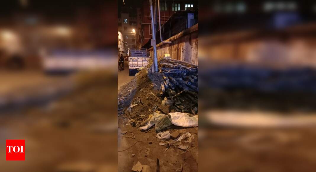Garbage den - Times of India