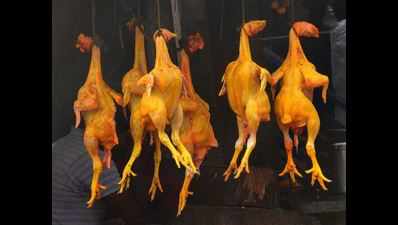 Coronavirus not spread via meat: Vijayawada poultry farmers