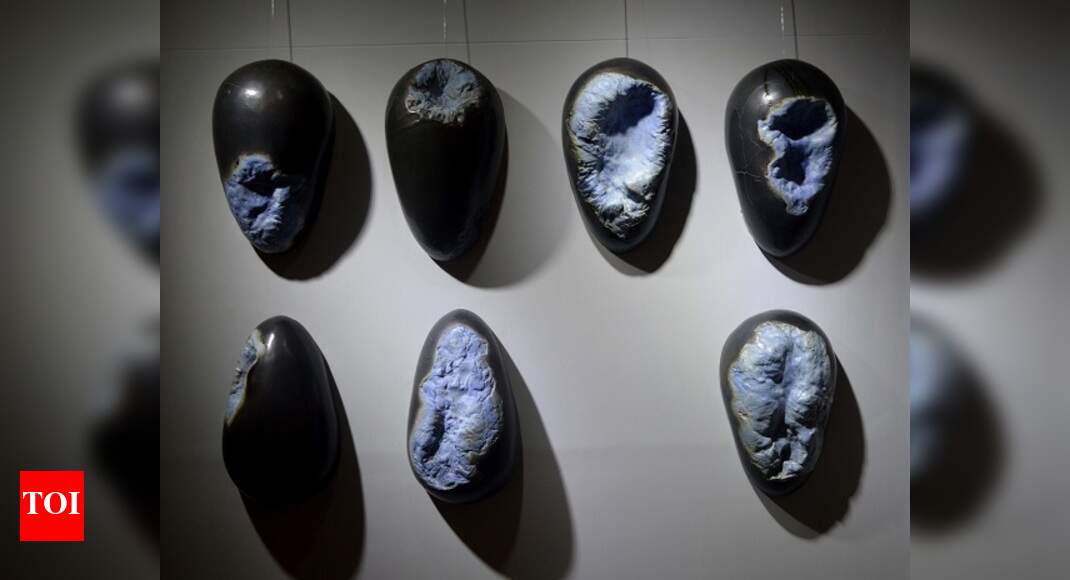 Ceramic artworks in focus Bengali Movie News Times of India