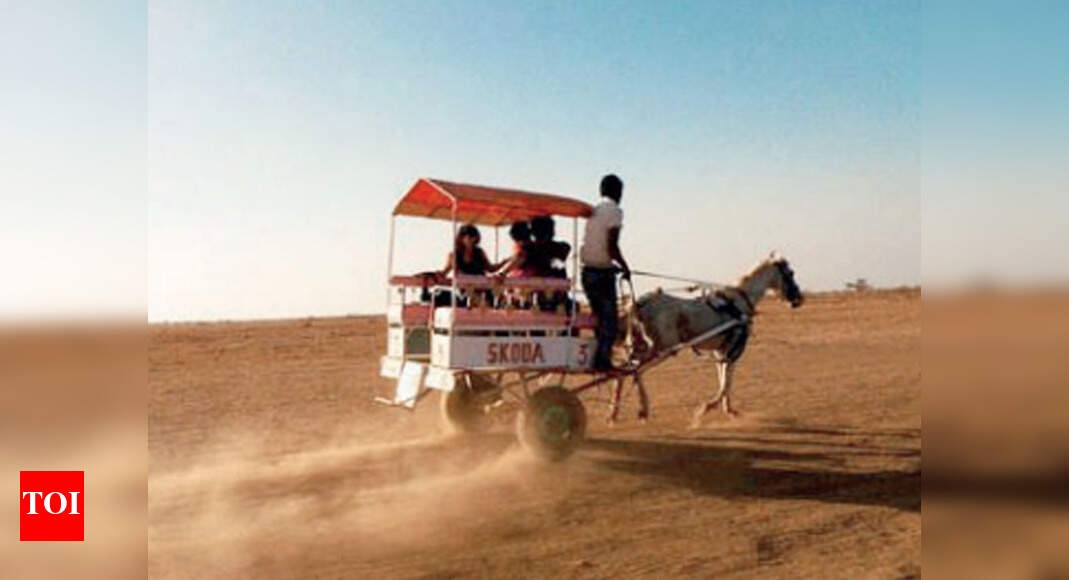 Maharashtra No more horsecart rides on Tableland Mumbai News