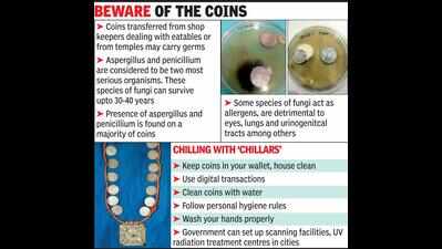 Beware: Your ‘chillar’ is laced with 12 types of fungi! | Vadodara News ...