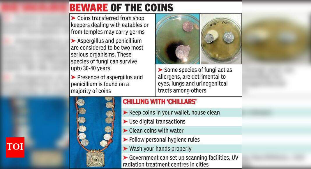 Beware: Your ‘chillar’ is laced with 12 types of fungi! | Vadodara News ...
