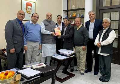 Kashmiri pandits meet Shah, say home minister assured they would be resettled in Valley