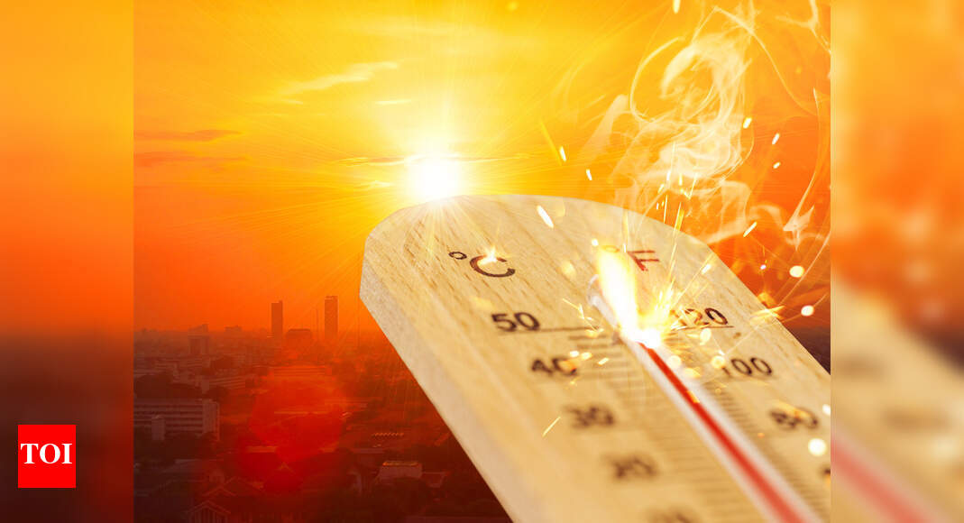 Avg Delhi temp in April could be 1-1.5°C higher