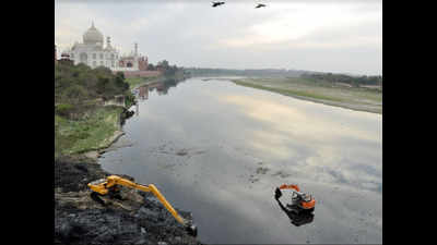 Agra: Ahead of US president's visit, extra water released from Upper Ganga Canal in Uttarakhand to replenish Yamuna
