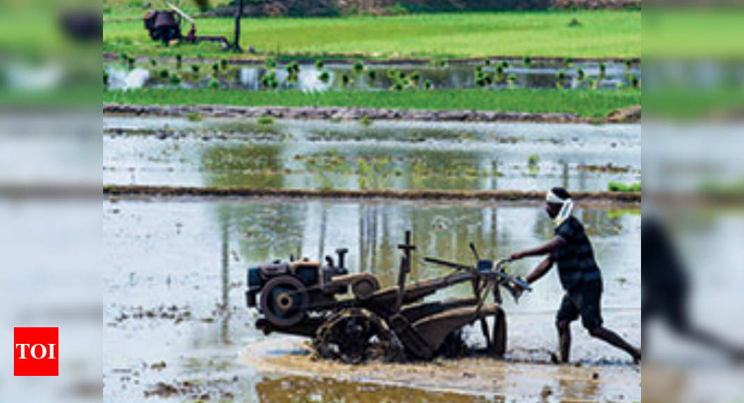 Tamil Nadu Govt May Introduce Cauvery Special Agriculture Zone Bill In ...