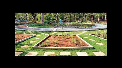Hyderabad: Indira Park to get therapeutic walkway