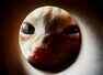 #Moonselfies are going viral, have you tried yet?
