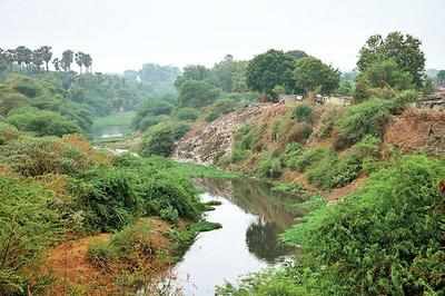 BJP MLA slams construction along Vishwamitri riverbank