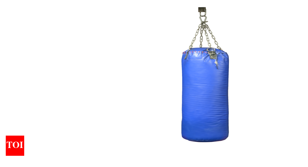 Boxing Bags Finest Boxing bags for enhanced strength and excellent skills Times of India