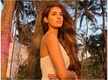 
Check out Disha Patani’s stunning sun-kissed picture
