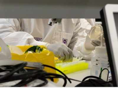 Coronavirus vaccine: University of Queensland achieves milestone