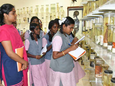 Verizon India, IIT-Madras to train rural students